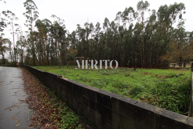 Terreno para Venda em Galegos (Santa Maria) Foto 3