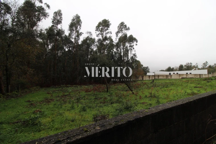Terreno para Venda em Galegos (Santa Maria) Foto 6