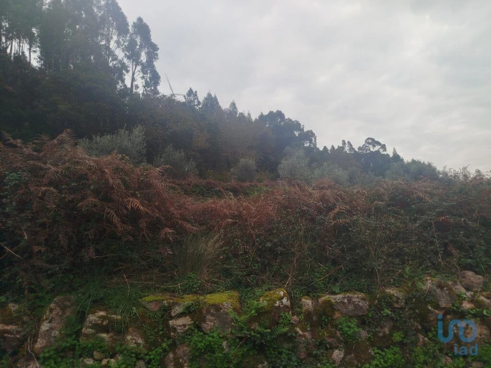Terreno para Venda em Penacova Foto 1