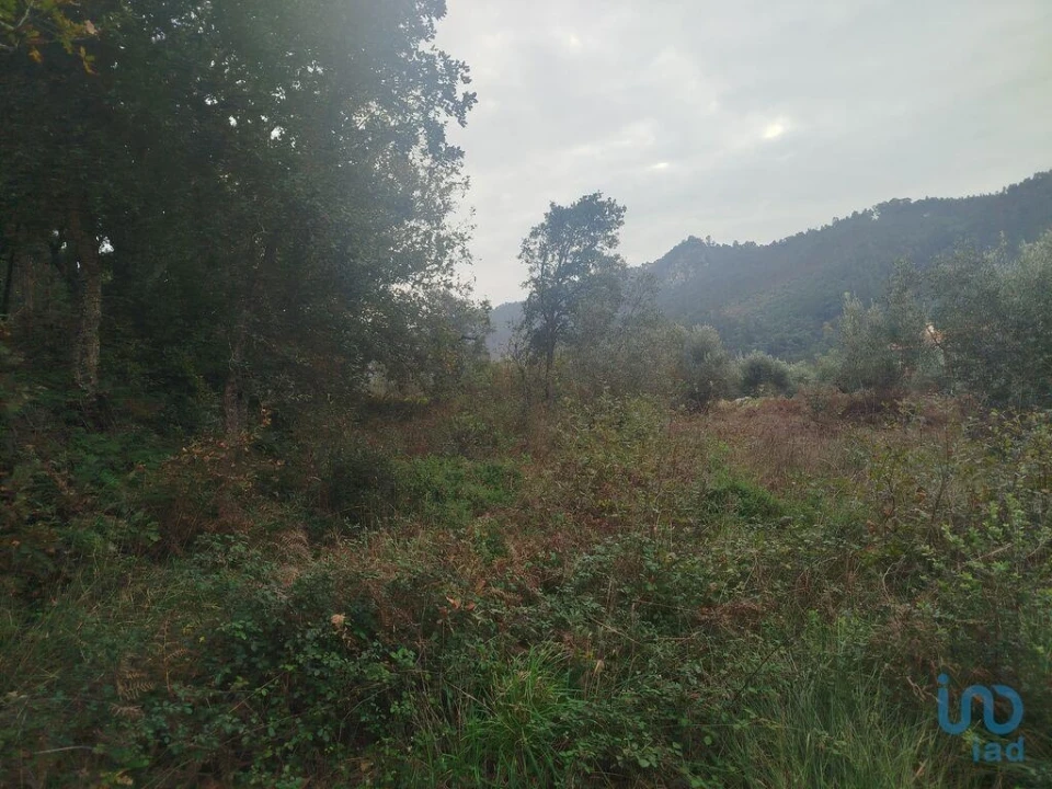 Terreno para Venda em Penacova Foto 4
