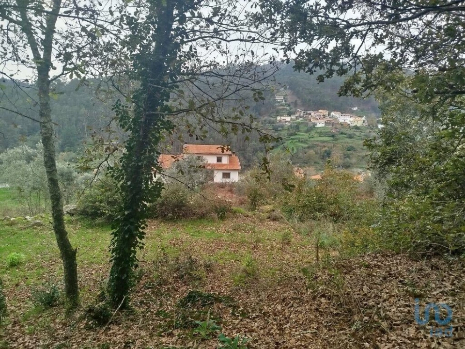 Terreno para Venda em Penacova Foto 5