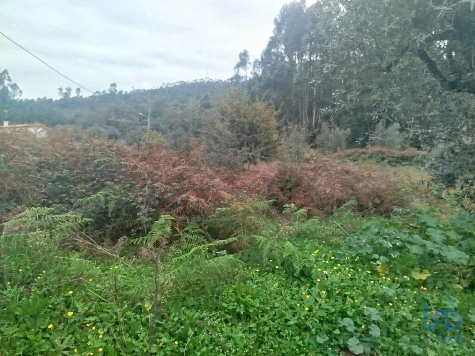 Terreno para Venda em Penacova Foto 3