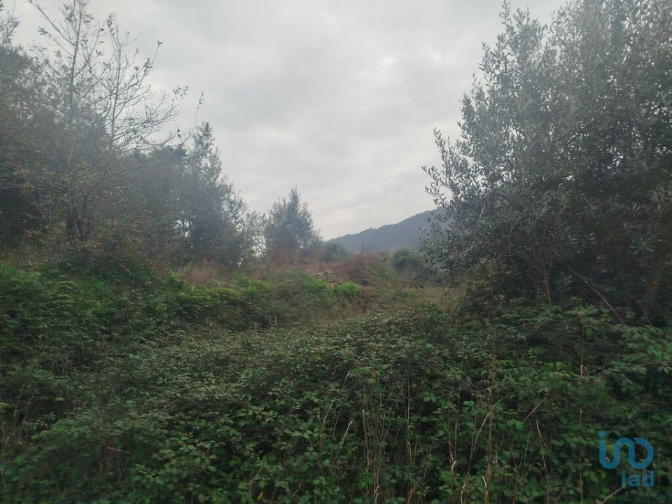 Terreno para Venda em Penacova Foto 6