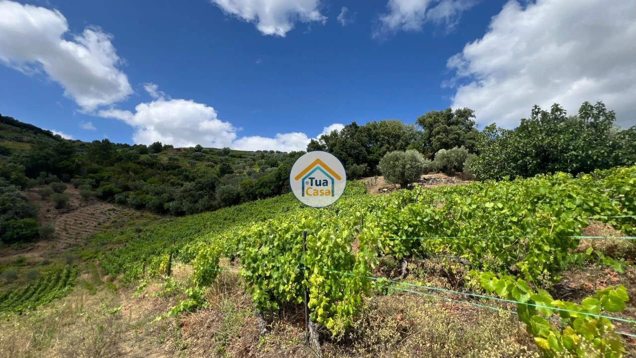 Terreno para Venda em Andrães Foto 4