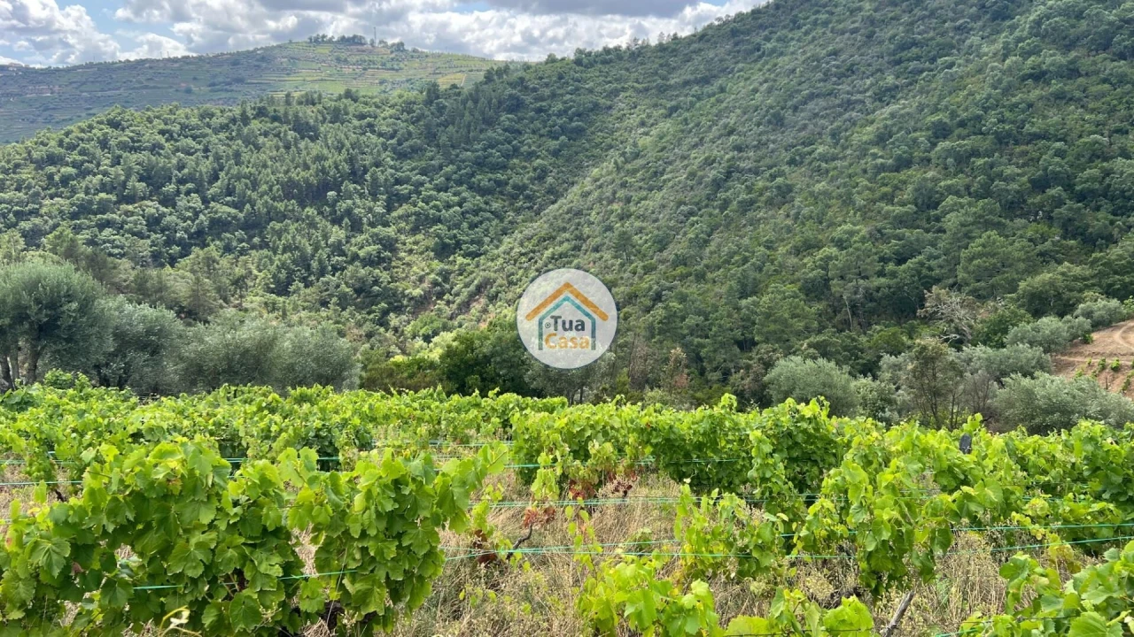 Terreno para Venda em Andrães Foto 11