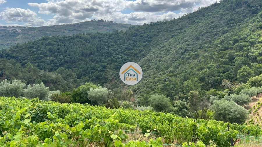 Terreno para Venda em Andrães Foto 7