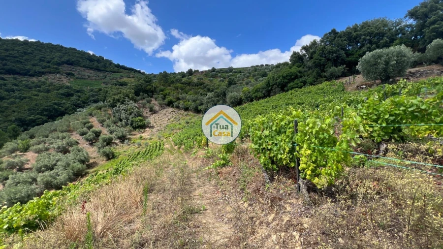 Terreno para Venda em Andrães Foto 3