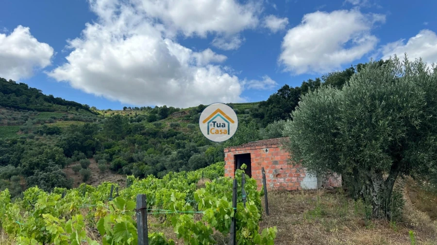 Terreno para Venda em Andrães Foto 15