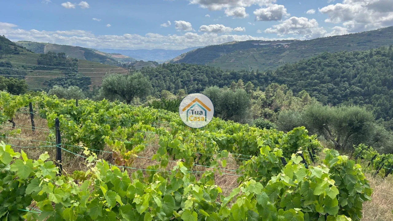 Terreno para Venda em Andrães Foto 10