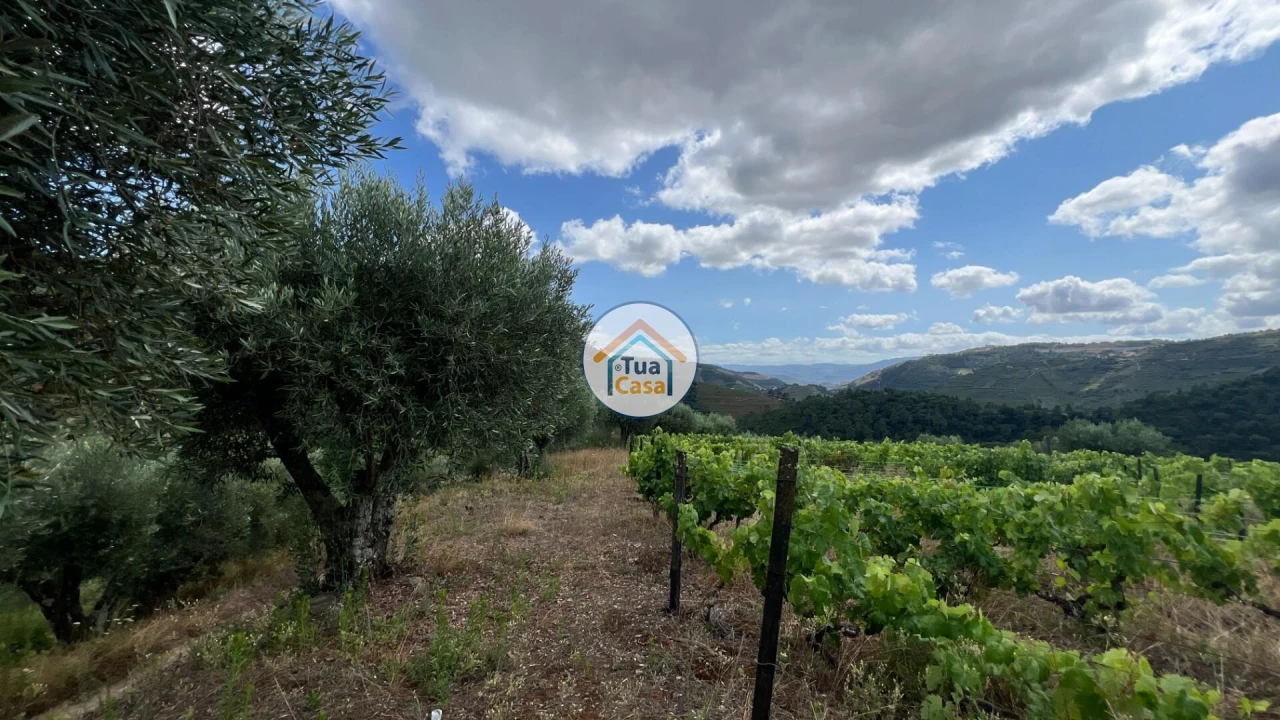 Terreno para Venda em Andrães Foto 13