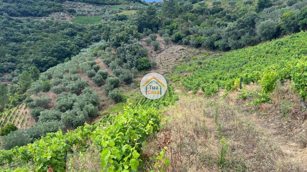 Terreno para Venda em Andrães Foto 5