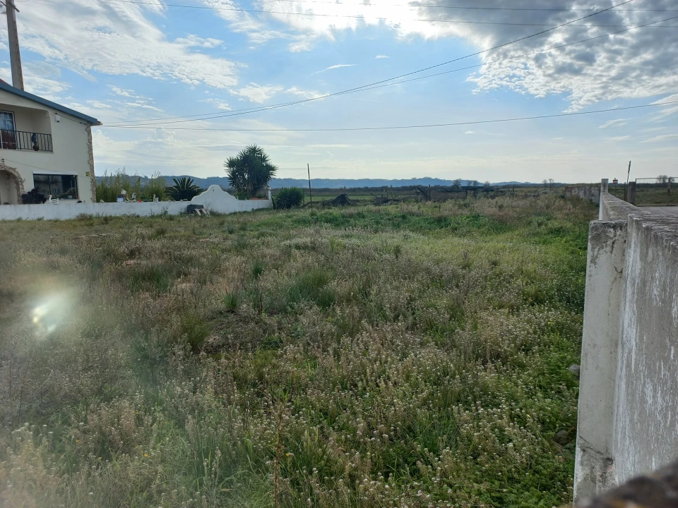 Terreno para Venda em São Martinho do Porto Foto 8
