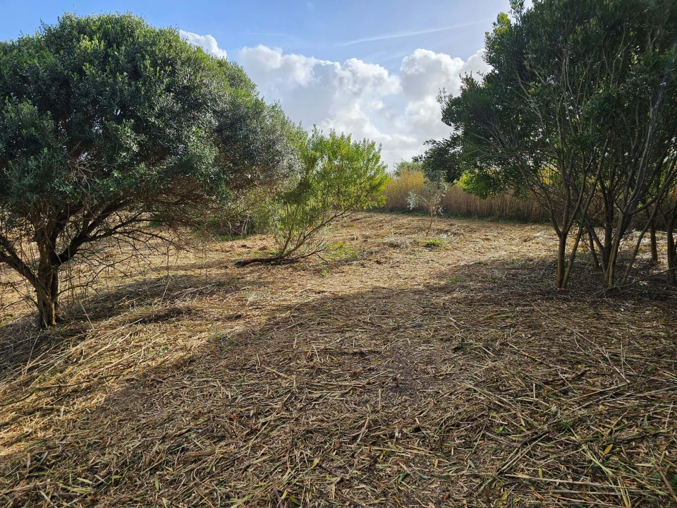Terreno para Venda em Foz do Arelho Foto 17