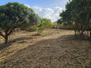 Terreno para Venda em Foz do Arelho