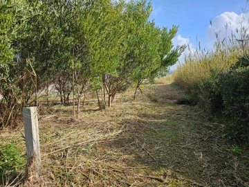 Terreno para Venda em Foz do Arelho