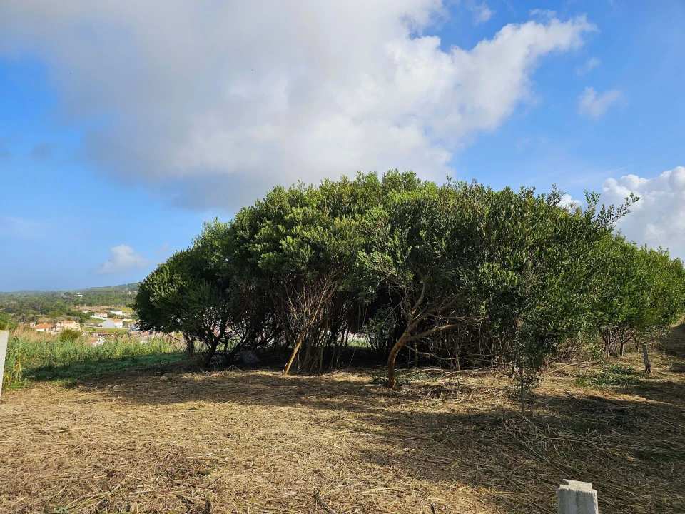 Terreno para Venda em Foz do Arelho Foto 7