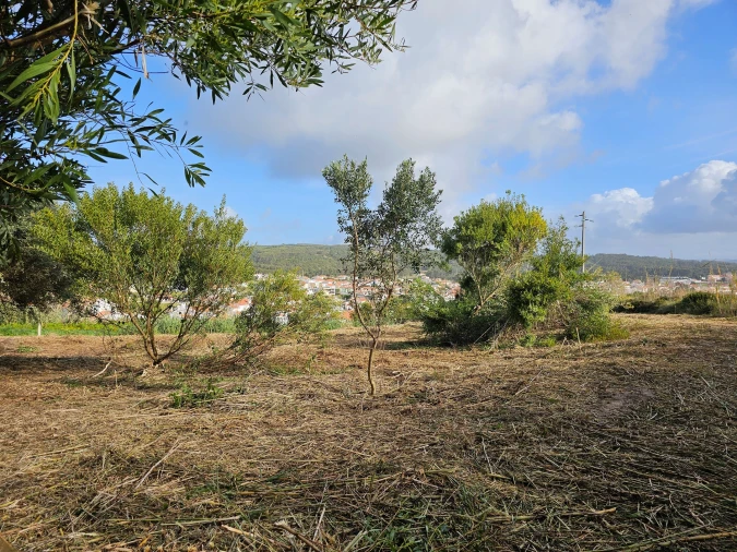 Terreno para Venda em Foz do Arelho Foto 9