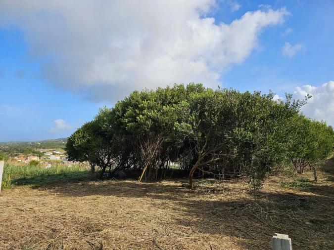 Terreno para Venda em Foz do Arelho Foto 7