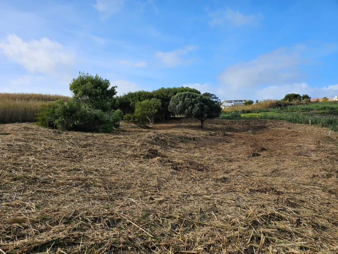 Terreno para Venda em Foz do Arelho