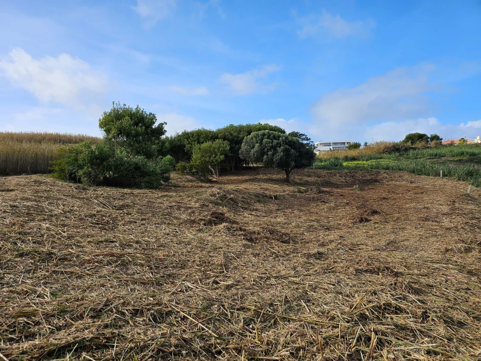Terreno para Venda em Foz do Arelho Foto 1