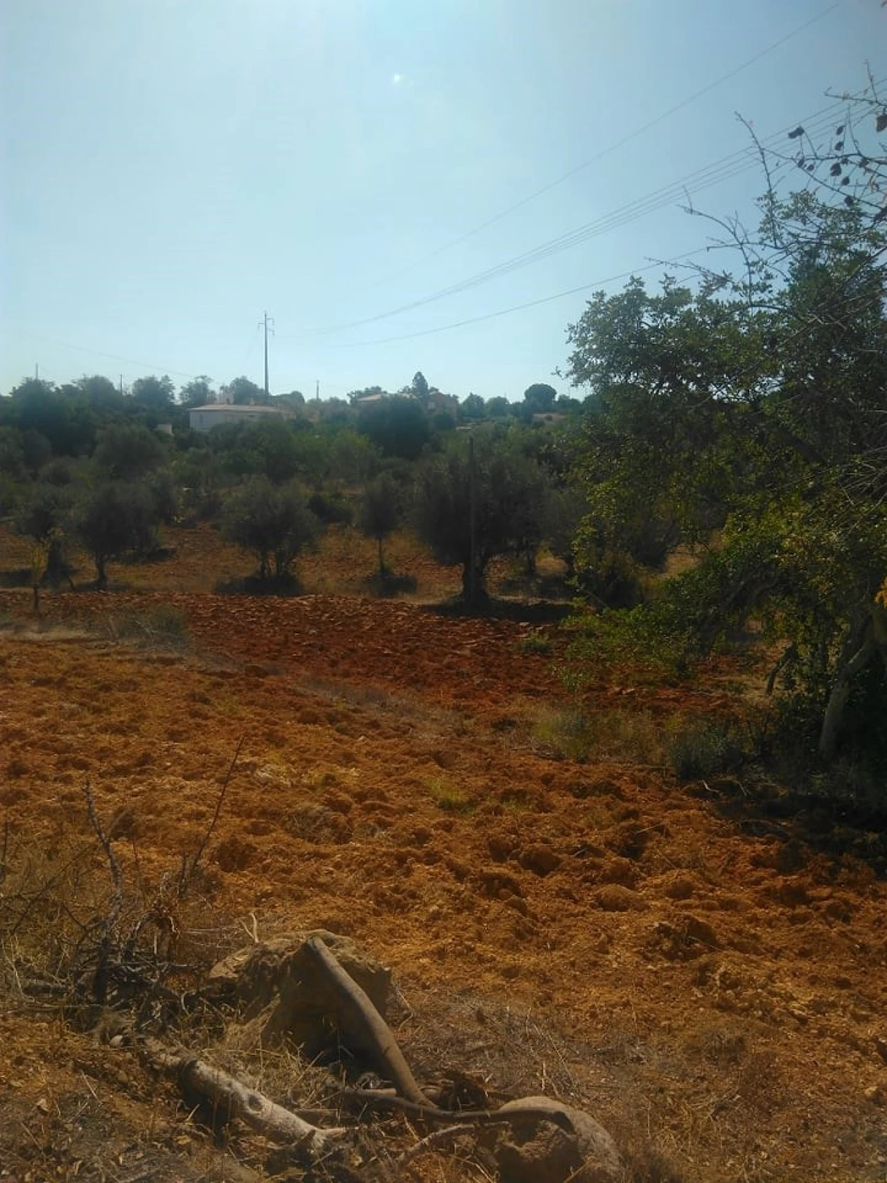 Terreno para Venda em Porches Foto 4