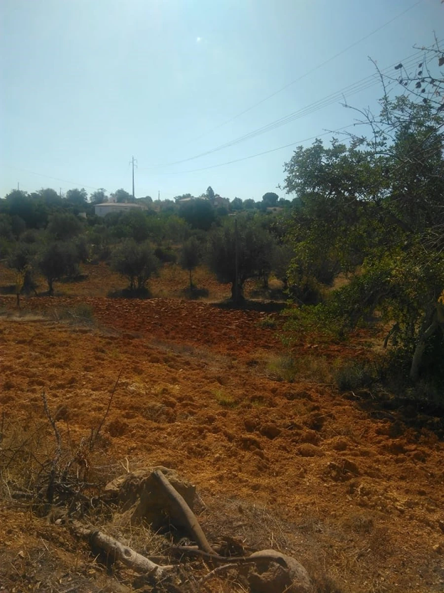 Terreno para Venda em Porches Foto 4