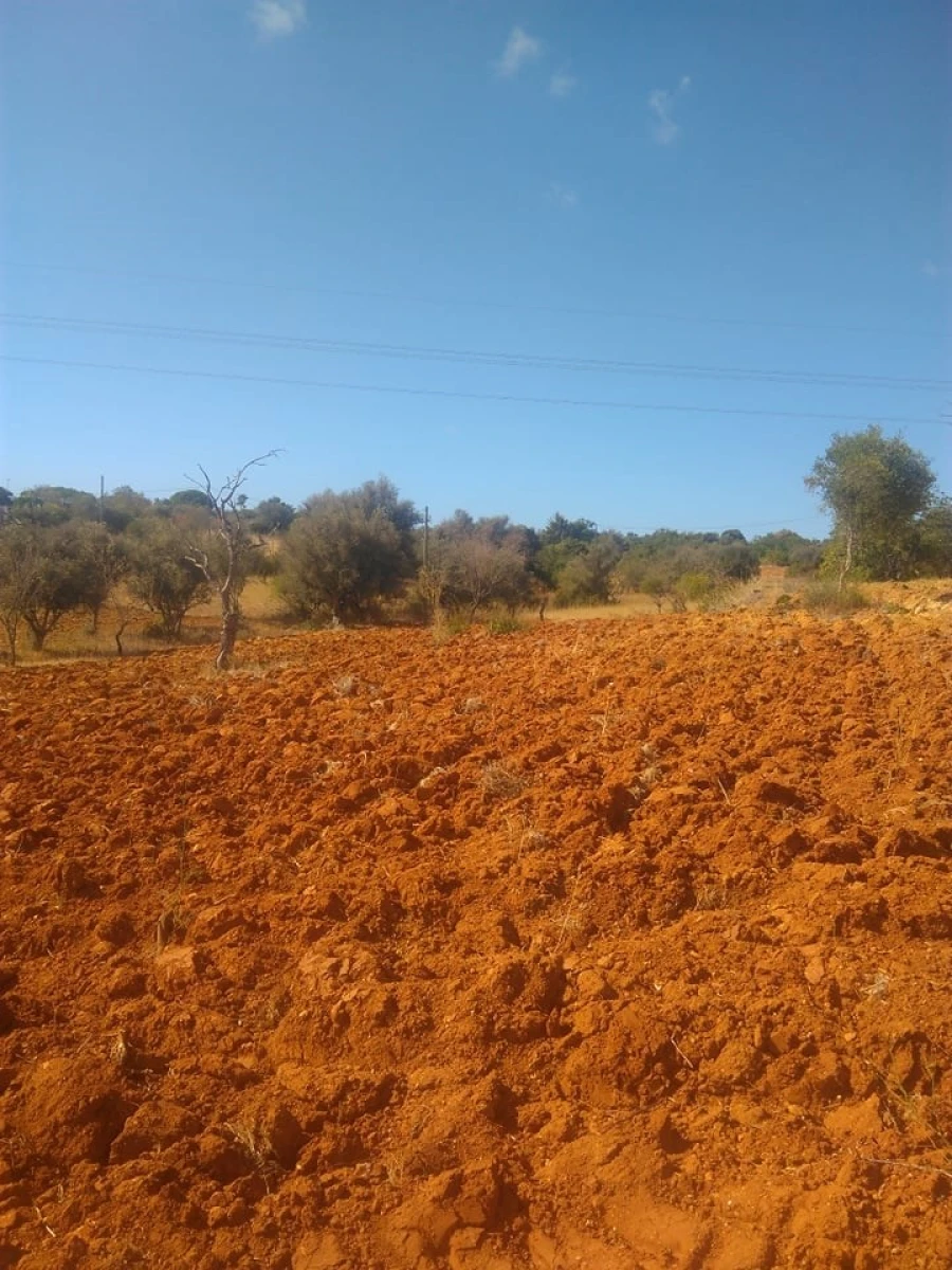 Terreno para Venda em Porches Foto 5