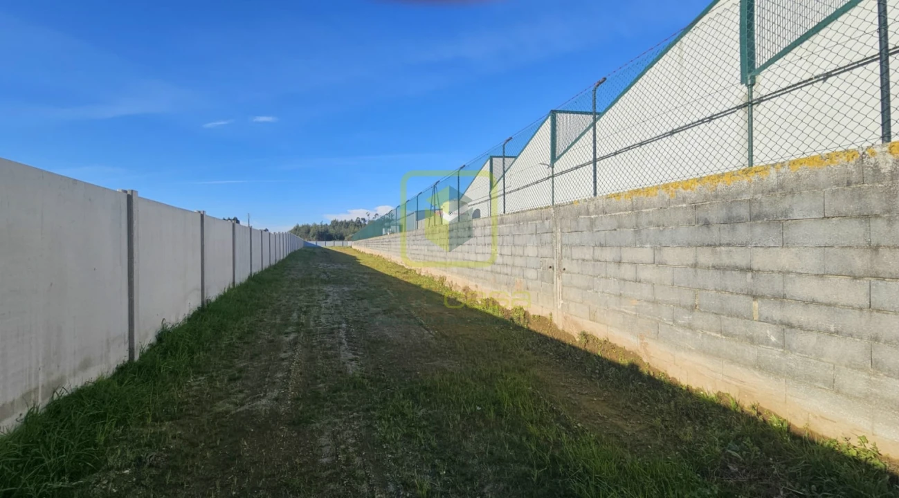 Armazém para Venda em Ílhavo (São Salvador) Foto 10