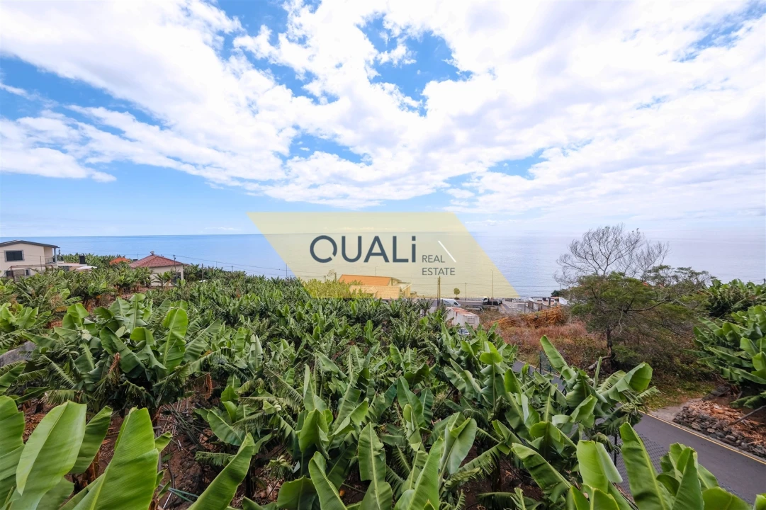 Moradia T4 para Venda em Madalena do Mar Foto 4