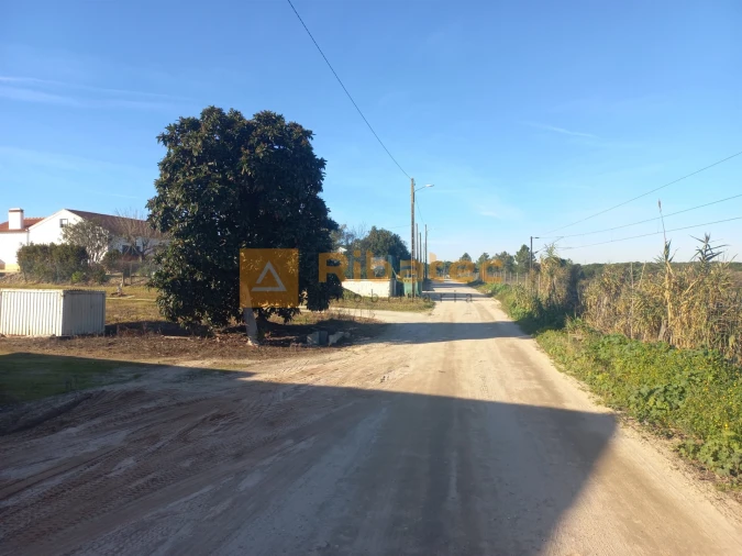Terreno para Venda em Coruche, Fajarda e Erra Foto 2