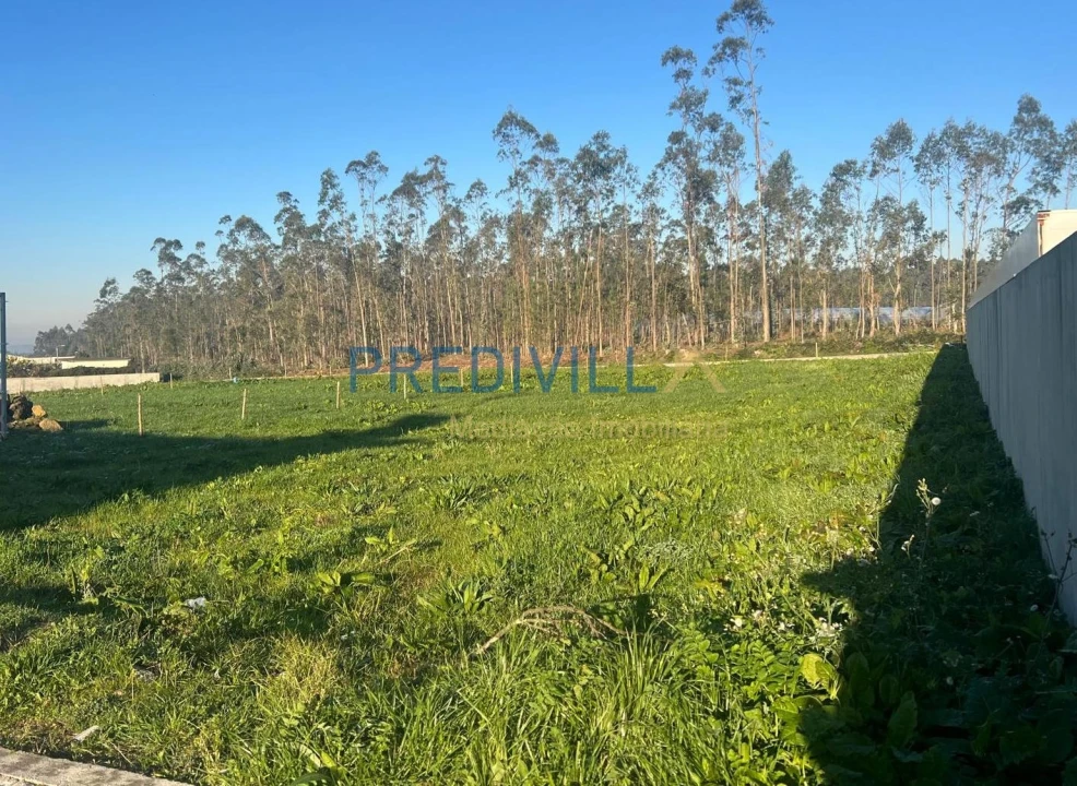 Terreno para Venda em Vilar e Mosteiró Foto 2