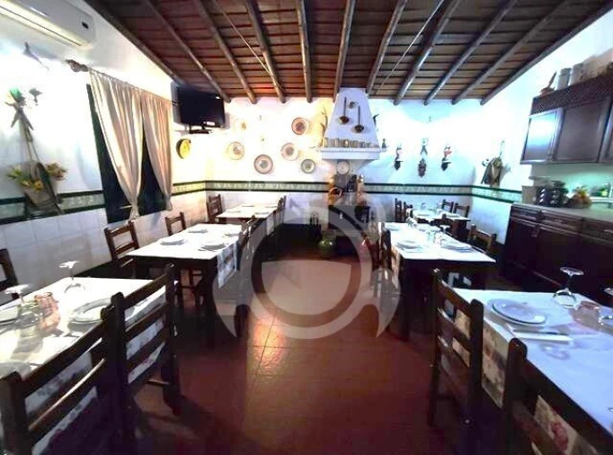 Negócio para Venda em Campo e Campinho Foto 8