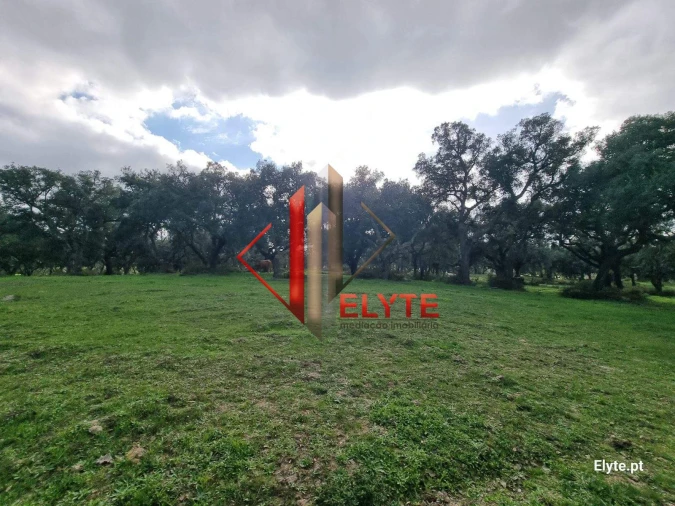 Quinta T3 para Venda em Vendas Novas Foto 1