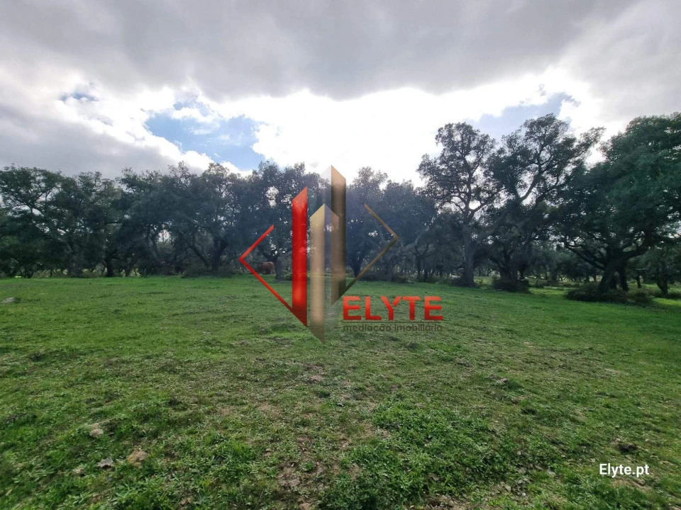 Quinta T3 para Venda em Vendas Novas Foto 1