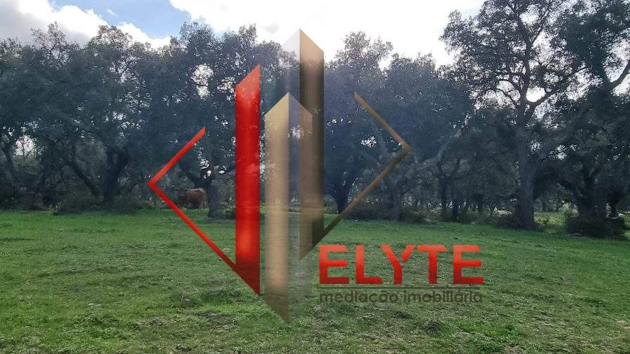 Quinta T3 para Venda em Vendas Novas