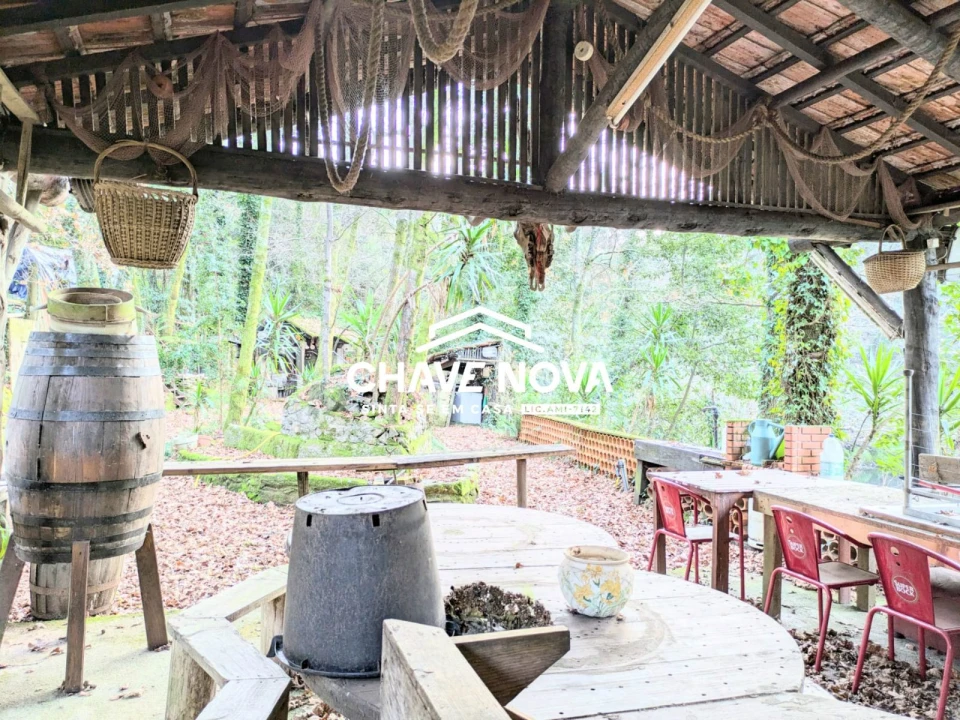 Quinta T0 para Venda em Pinheiro da Bemposta, Travanca e Palmaz Foto 9