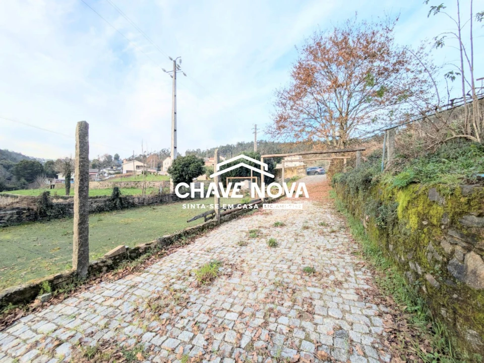 Quinta T0 para Venda em Pinheiro da Bemposta, Travanca e Palmaz Foto 14