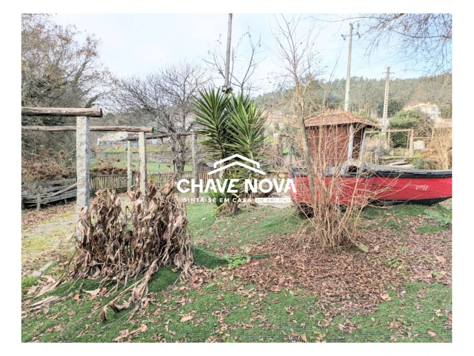 Quinta T0 para Venda em Pinheiro da Bemposta, Travanca e Palmaz Foto 16
