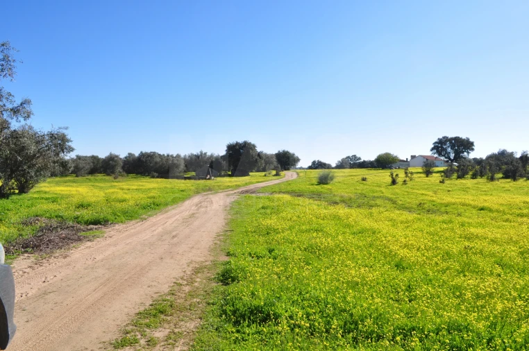 Quinta para Venda em Reguengos de Monsaraz Foto 6