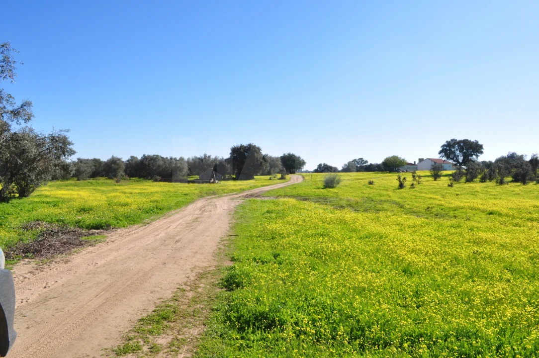Quinta para Venda em Reguengos de Monsaraz Foto 6