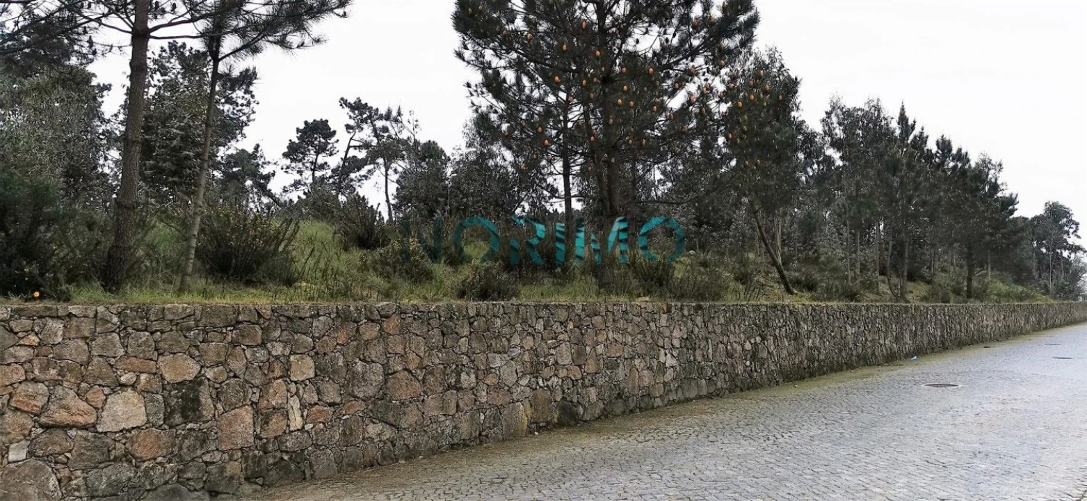 Terreno para Venda em Póvoa de Varzim, Beiriz e Argivai Foto 4