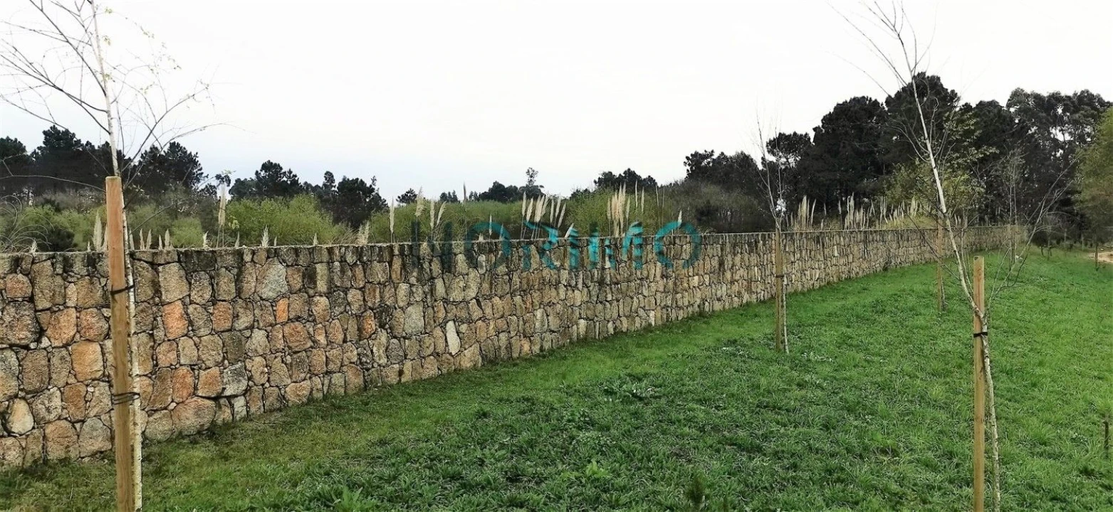 Terreno para Venda em Póvoa de Varzim, Beiriz e Argivai Foto 5