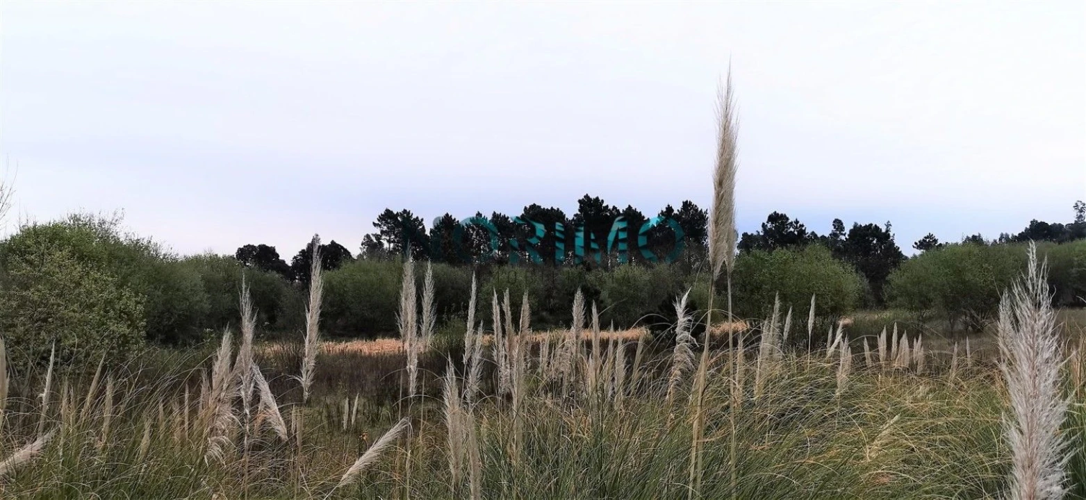Terreno para Venda em Póvoa de Varzim, Beiriz e Argivai Foto 6