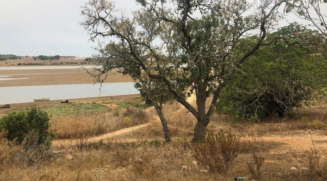 Terreno para Venda em Mexilhoeira Grande Foto 4