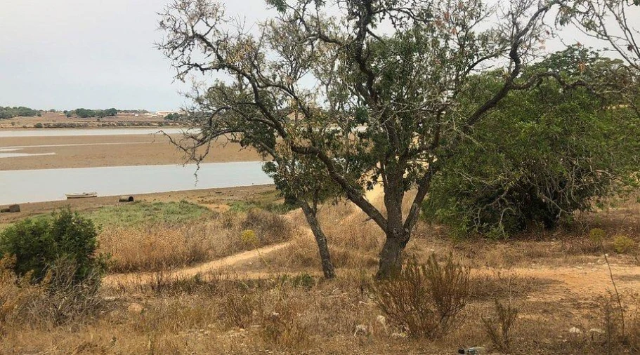 Terreno para Venda em Mexilhoeira Grande Foto 4