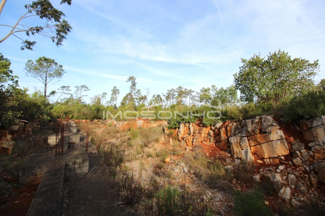 Terreno para Venda em Pedreiras Foto 15