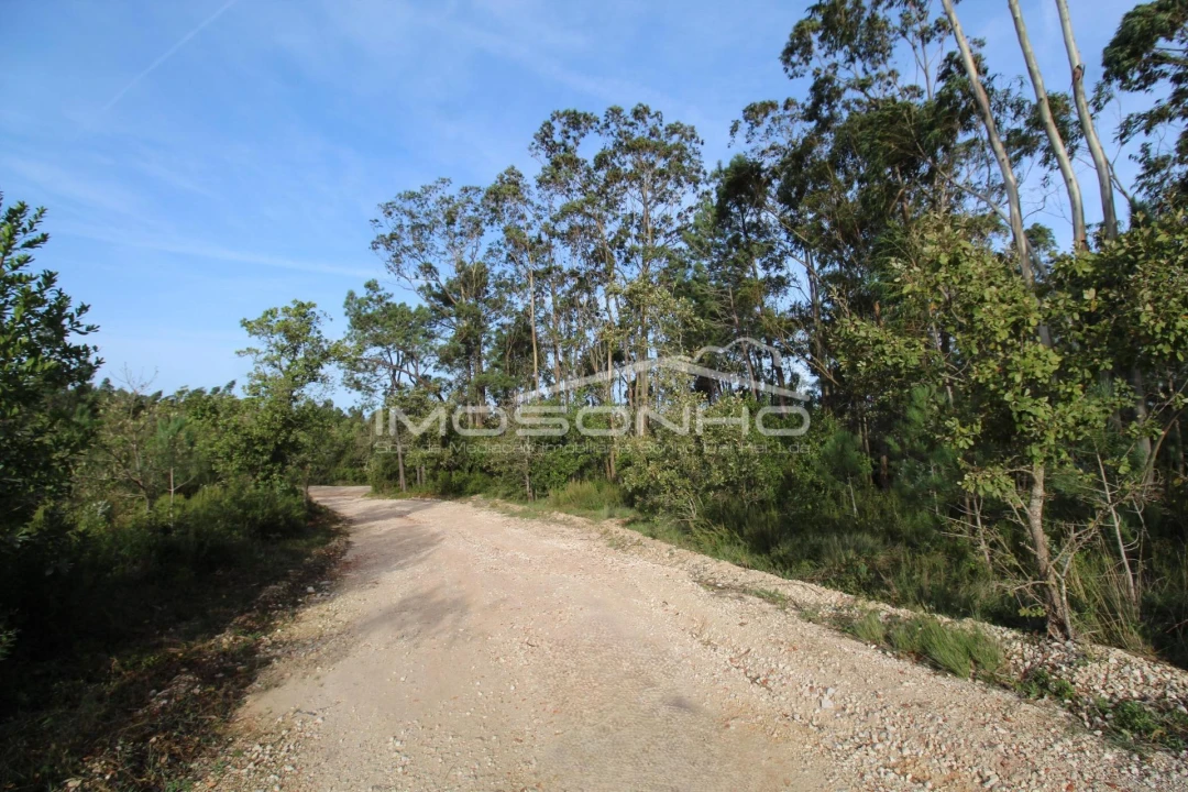 Terreno para Venda em Pedreiras Foto 18