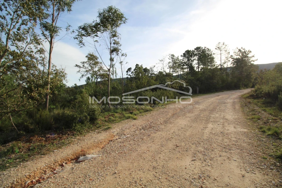 Terreno para Venda em Pedreiras Foto 19