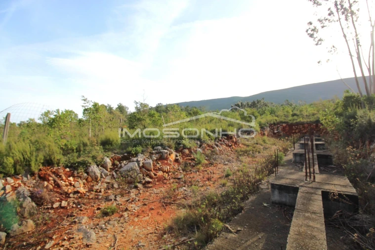 Terreno para Venda em Pedreiras Foto 16