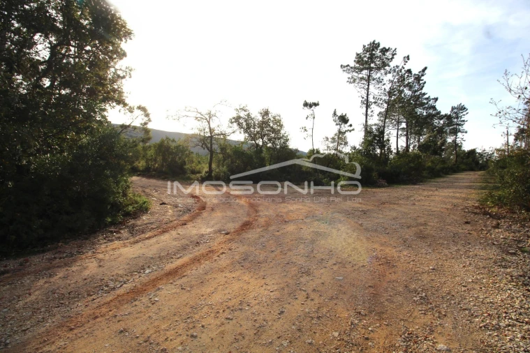 Terreno para Venda em Pedreiras Foto 20